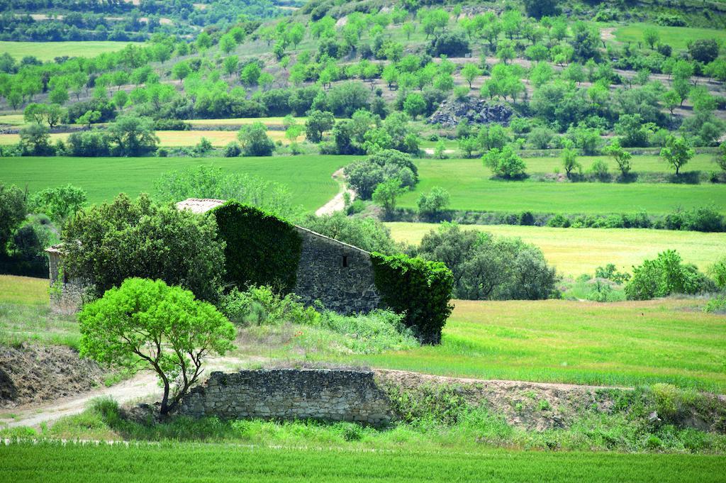 Hostal Palouet De Segarra Exteriör bild